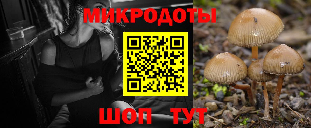 Псилоцибиновые грибы MAGIC MUSHROOMS Кимовск