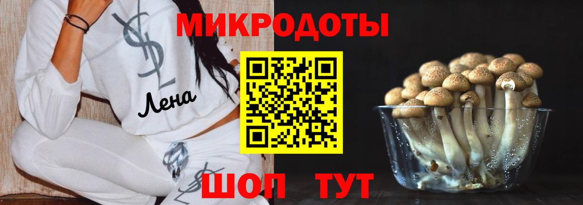 Галлюциногенные грибы GOLDEN TEACHER  Вход с VPN  Псилоцибиновые грибы MAGIC MUSHROOMS  Кимовск 